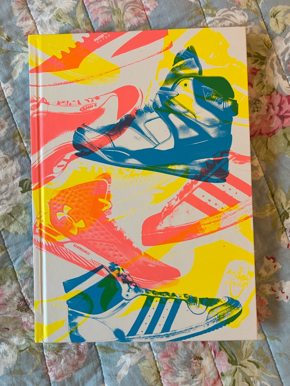 The History of Basketball in Fifteen Sneakers Book
